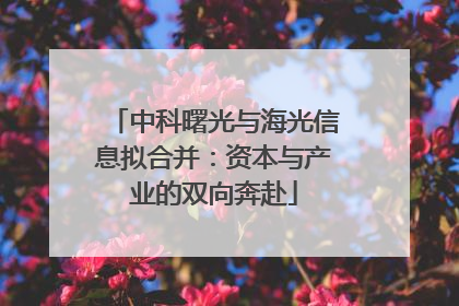 中科曙光与海光信息拟合并：资本与产业的双向奔赴