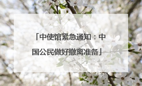 中使馆紧急通知：中国公民做好撤离准备