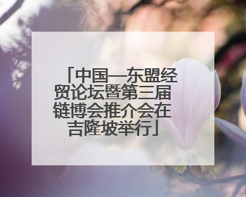 中国—东盟经贸论坛暨第三届链博会推介会在吉隆坡举行