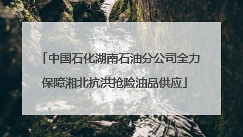 中国石化湖南石油分公司全力保障湘北抗洪抢险油品供应