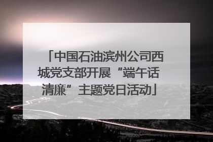 中国石油滨州公司西城党支部开展“端午话清廉”主题党日活动