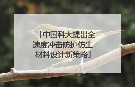 中国科大提出全速度冲击防护仿生材料设计新策略