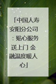 中国人寿安阳分公司：贴心服务送上门 金融温度暖人心