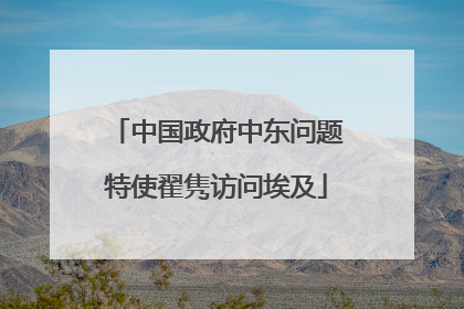 中国政府中东问题特使翟隽访问埃及