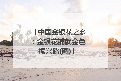 中国金银花之乡：金银花铺就金色振兴路(图)