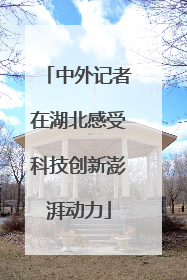 中外记者在湖北感受科技创新澎湃动力
