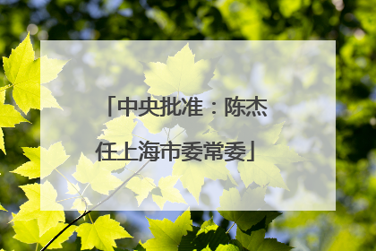 中央批准：陈杰任上海市委常委