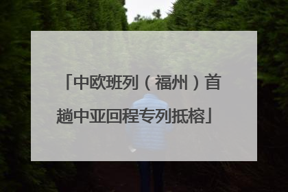 中欧班列（福州）首趟中亚回程专列抵榕