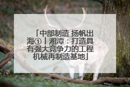 中部制造 扬帆出海①丨湘潭：打造具有强大竞争力的工程机械再制造基地