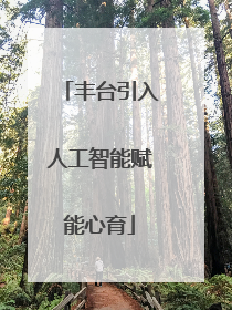 丰台引入人工智能赋能心育