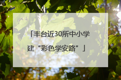 丰台近30所中小学建“彩色学安路”