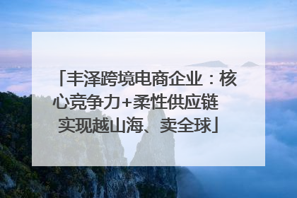 丰泽跨境电商企业：核心竞争力+柔性供应链 实现越山海、卖全球