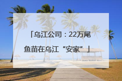 乌江公司：22万尾鱼苗在乌江“安家”