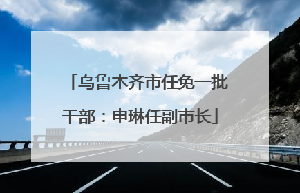乌鲁木齐市任免一批干部：申琳任副市长