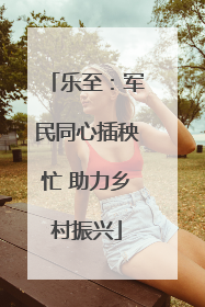 乐至：军民同心插秧忙 助力乡村振兴