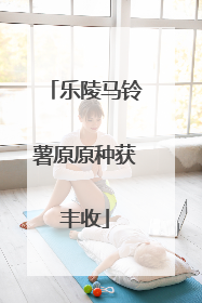 乐陵马铃薯原原种获丰收