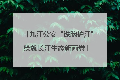 九江公安“铁腕护江”绘就长江生态新画卷