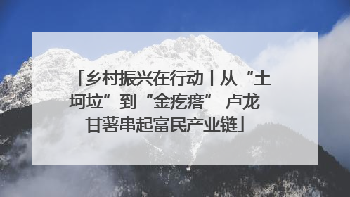乡村振兴在行动丨从“土坷垃”到“金疙瘩” 卢龙甘薯串起富民产业链