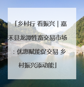 乡村行 看振兴｜嘉禾县龙潭牲畜交易市场：优惠赋能促交易 乡村振兴添动能