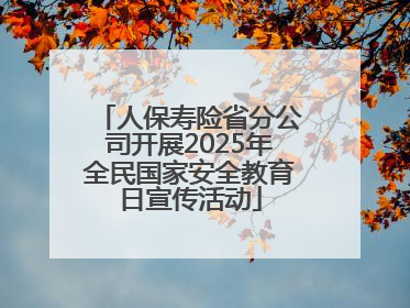 人保寿险省分公司开展2025年全民国家安全教育日宣传活动