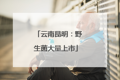 云南昆明：野生菌大量上市