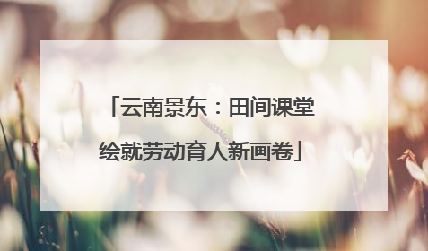 云南景东：田间课堂绘就劳动育人新画卷