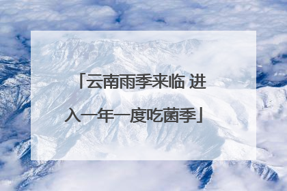 云南雨季来临 进入一年一度吃菌季