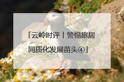云岭时评丨警惕旅居同质化发展苗头④