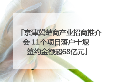 京津冀楚商产业招商推介会 11个项目落户十堰 签约金额超68亿元