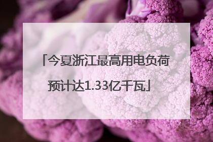 今夏浙江最高用电负荷预计达1.33亿千瓦