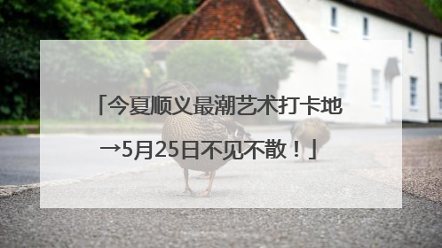 今夏顺义最潮艺术打卡地→5月25日不见不散！