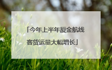 今年上半年厦金航线客货运量大幅增长