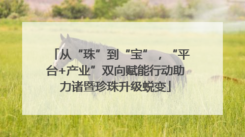 从“珠”到“宝”，“平台+产业”双向赋能行动助力诸暨珍珠升级蜕变