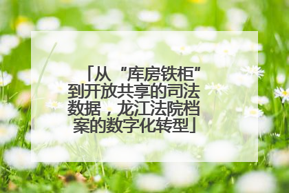 从“库房铁柜”到开放共享的司法数据，龙江法院档案的数字化转型
