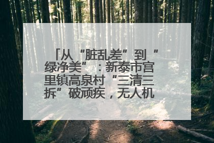 从“脏乱差”到“绿净美”：新泰市宫里镇高泉村“三清三拆”破顽疾，无人机“天眼”护新颜