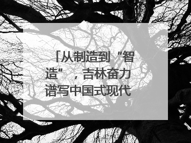 从制造到“智造”，吉林奋力谱写中国式现代化新篇章