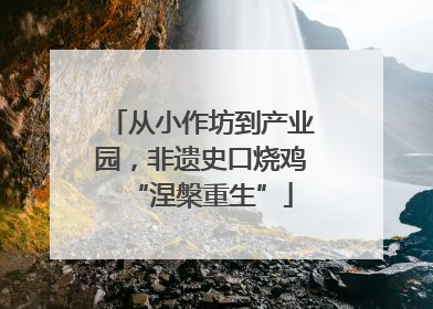 从小作坊到产业园，非遗史口烧鸡“涅槃重生”
