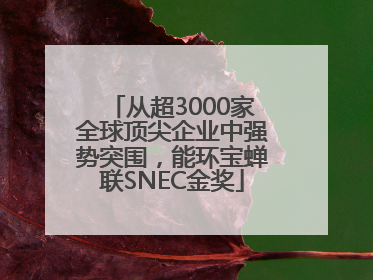从超3000家全球顶尖企业中强势突围，能环宝蝉联SNEC金奖