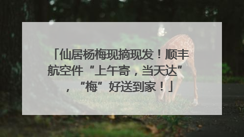 仙居杨梅现摘现发！顺丰航空件“上午寄，当天达”，“梅”好送到家！