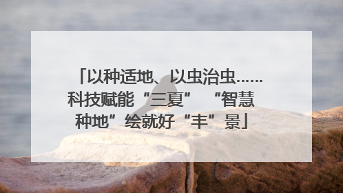 以种适地、以虫治虫……科技赋能“三夏” “智慧种地”绘就好“丰”景