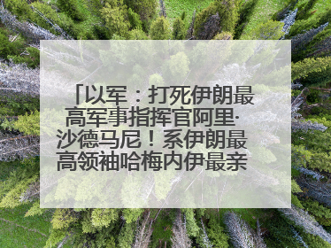 以军：打死伊朗最高军事指挥官阿里·沙德马尼！系伊朗最高领袖哈梅内伊最亲密的人之一