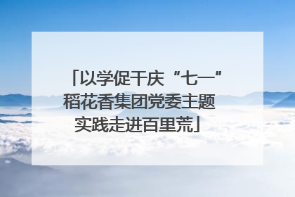 以学促干庆“七一” 稻花香集团党委主题实践走进百里荒