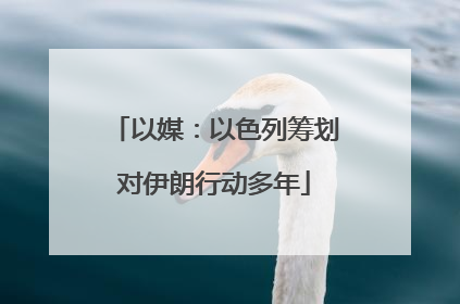 以媒：以色列筹划对伊朗行动多年