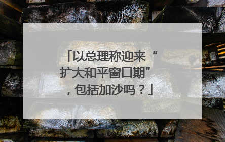 以总理称迎来“扩大和平窗口期”，包括加沙吗？