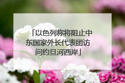 以色列称将阻止中东国家外长代表团访问约旦河西岸