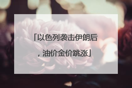 以色列袭击伊朗后，油价金价跳涨