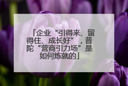 企业“引得来、留得住、成长好”，普陀“营商引力场”是如何炼就的