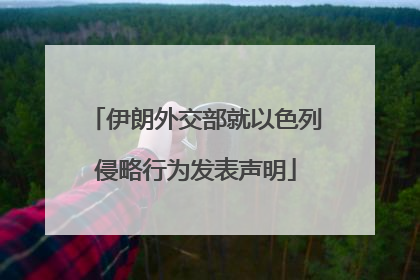 伊朗外交部就以色列侵略行为发表声明