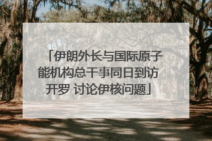 伊朗外长与国际原子能机构总干事同日到访开罗 讨论伊核问题
