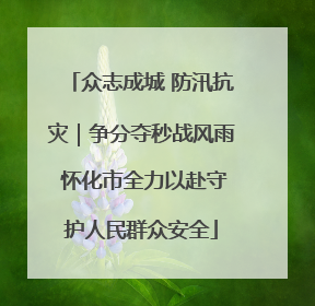 众志成城 防汛抗灾｜争分夺秒战风雨 怀化市全力以赴守护人民群众安全